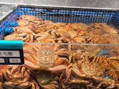 -东海怡品海鲜豆捞(星街坊店)