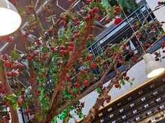 -山楂树融合菜餐厅