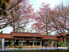 -喜洲吧·江畔老船厂·庭院餐厅(喜临院店)