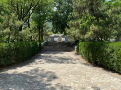 -阳台山自然风景区