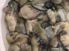 海蛎子-牛叔鲜羊肉铜火锅(远东小区店)