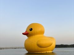 -深圳人才公园