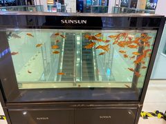 -凯德广场(埃德蒙顿路店)