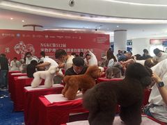 -深圳龙华星河COCO City(民治店)