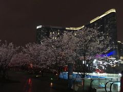 -新天地活力PARK