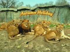 -北京野生动物园