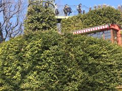 -三鹰之森吉卜力美术馆