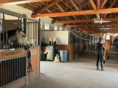 -北京群众马术培训基地