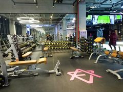-GYMCARE VIVA(金开店)