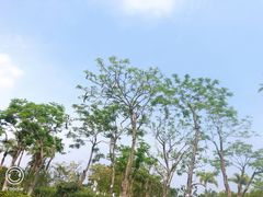 -厦门园林博览苑