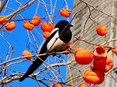 -东亿天弘演播大厅