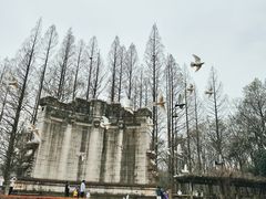 -音乐台