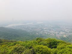 -紫金山山顶公园