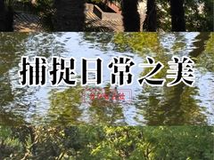 -常州古运河南大街文化旅游区-人民公园