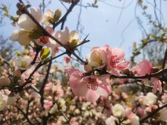 -宝钢特钢有限公司