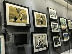 -上海动漫博物馆