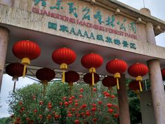 -广东茂名森林公园