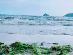 -西涌国际滨海旅游区