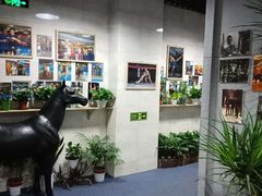 -格斗兄弟搏击健身训练馆(望京店)