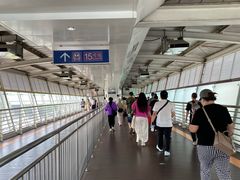 -望京西(地铁站)