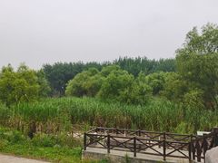 -鱼嘴湿地公园