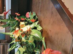 -喜湘宴·精致湖南菜(和平西桥店)