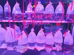 -华声天桥民俗文化园