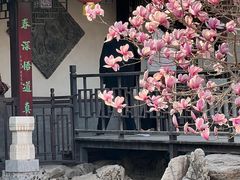 -杨柳青古镇