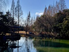 -上海滨江森林公园
