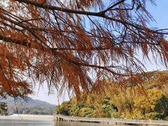 -广州市白云山风景名胜区