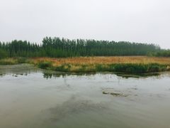 -微山湖红荷湿地景区