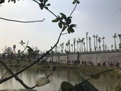 -枫香湖儿童公园