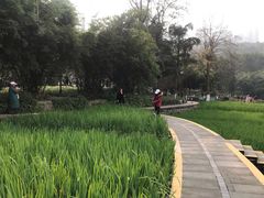 -龙头寺公园