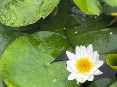 -沈阳植物园