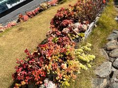 -云禾壹海景庄园餐厅
