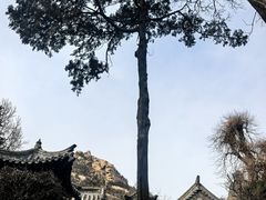 -青岛崂山太清宫