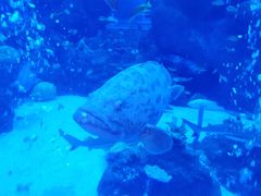 -成都浩海立方海洋公园