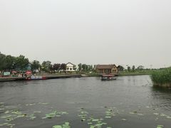 -白洋淀景区