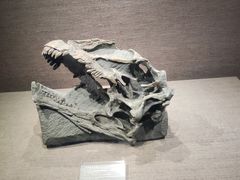 -自贡恐龙博物馆