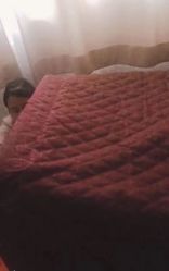 -清雅诗韵丽人产后恢复(回龙观店)