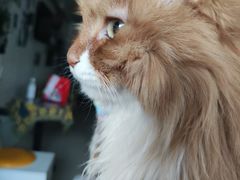 -平行世界·猫咖(首经贸店)