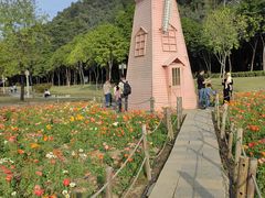 -顺峰山公园
