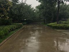 -西安青龙寺遗址景区