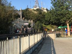 -紫金山山顶公园