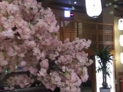 -汤泉良子(金源店)