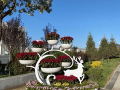 -青藏高原野生动物园