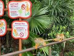 -河川生态园