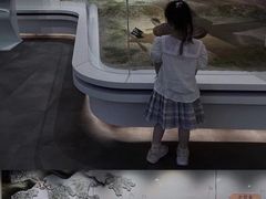-二沙岛-广东华侨博物馆