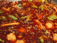 -蜀滋香鲜鱼美蛙火锅(339店)