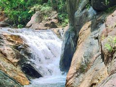 -广州白江湖森林公园